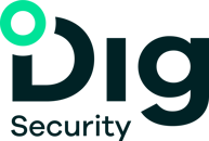 Dig Security