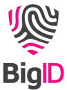 BigID