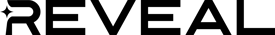RevealSecurity