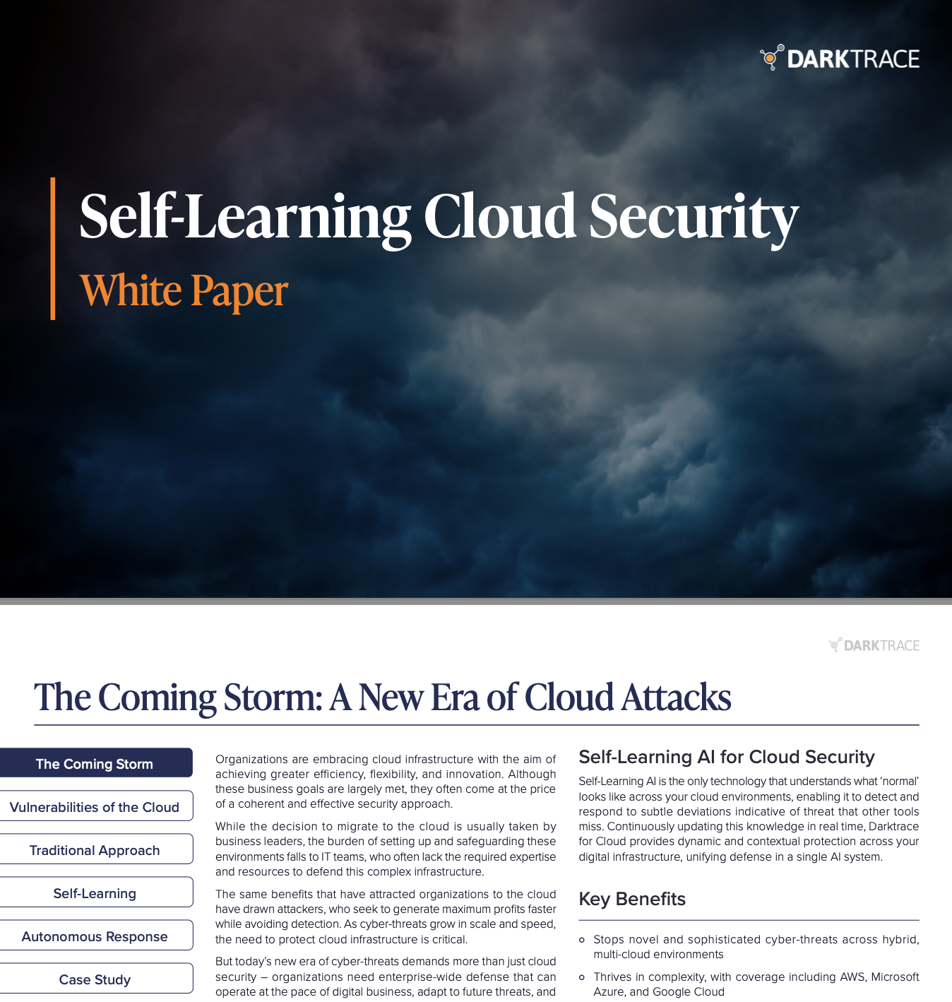 Self-Learning Cloud Security